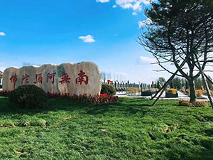 如何做“七”?